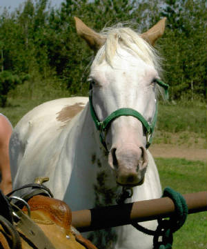 pict0417.jpg