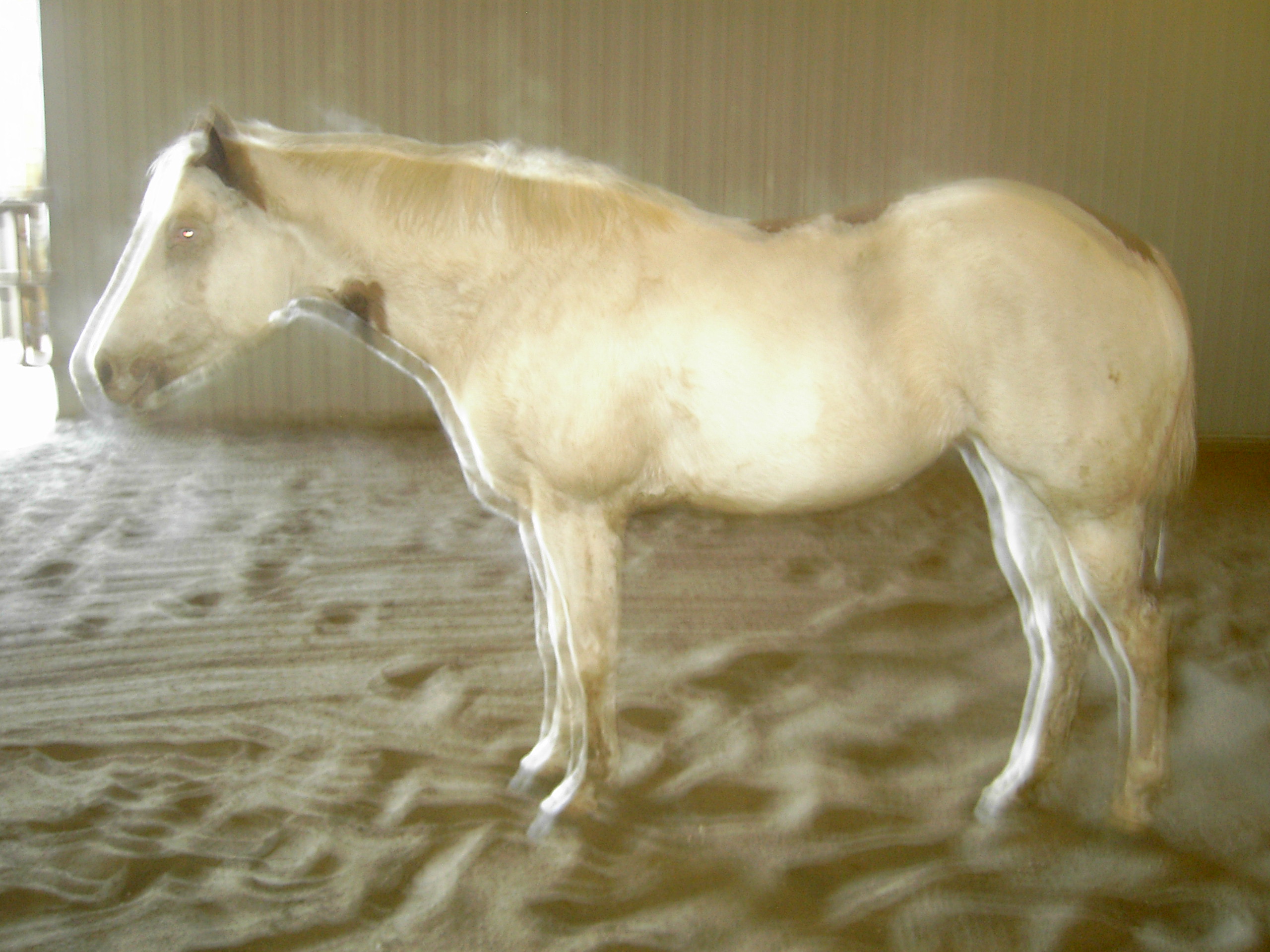 pict0065.jpg