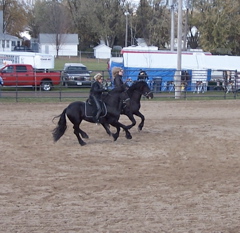 picture097.jpg